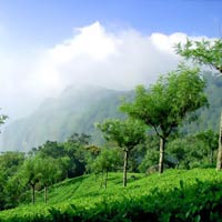 Coonoor