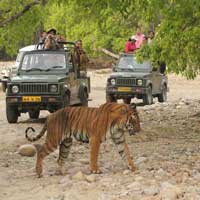 Corbett National Park