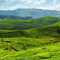 Munnar