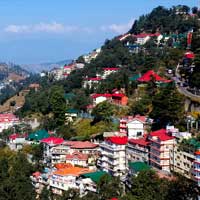 Shimla